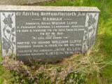 image of grave number 647595